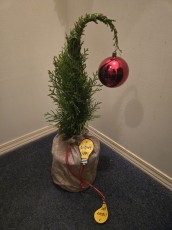 Grinch Tree Donated by Santa