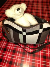 Purse and Teddy Bear Donated by AM Earthworks